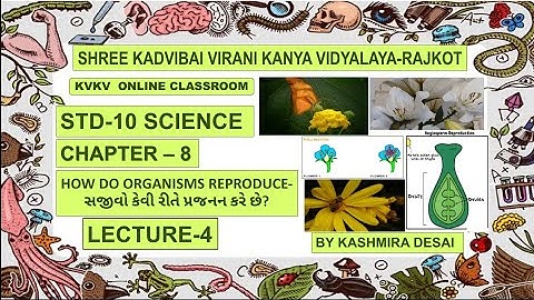 Std-10/Science/Chapter-8/✳️ HOW DO ORGANISMS REPRODUCE- સજીવો કેવી રીતે પ્રજનન કરે છે?✳️Lecture-4