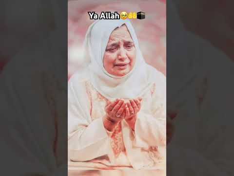 Parwar Digare Alam Bekas Pe Rahem Karna Viral Allah Viralshort Subscribemychannel