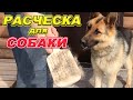 РАСЧЕСКА для СОБАКИ своими руками