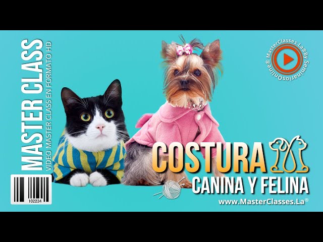 Costura Canina y Felina - Vestir a tus mascotas ya es una tendencia.