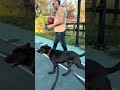 Mikey video