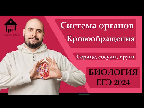 Кровообращение для ЕГЭ 2024 |ЕГЭ БИОЛОГИЯ|Freedom|