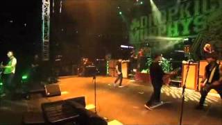 Dropkick Murphys - The Irish Rover (Live at Fenway Park