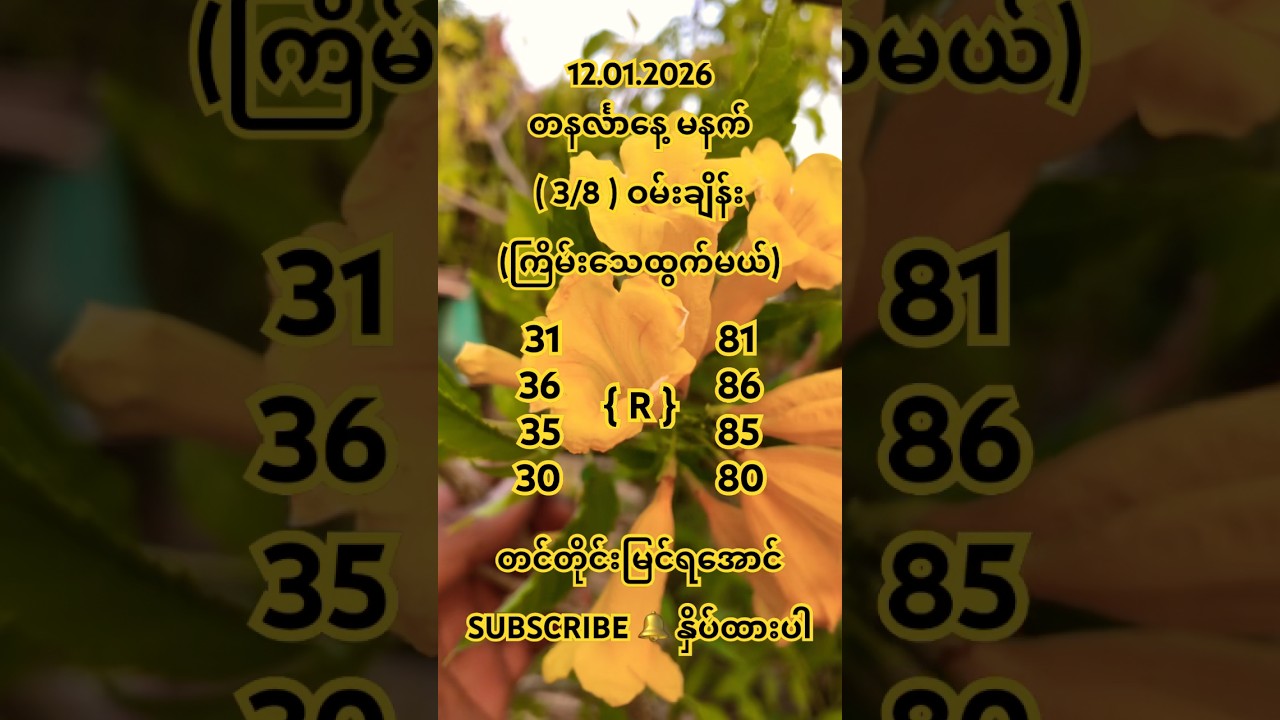 Beautiful Daffodil Flowers 🌼🌱 