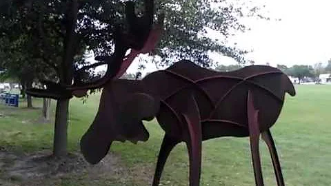 Bruce the Moose