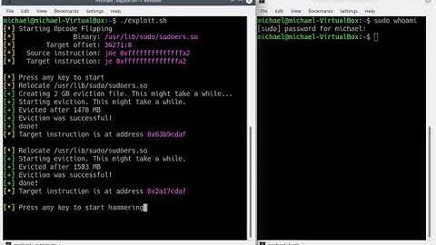 Demo: Another Flip in the Row - Opcode Flipping in sudo