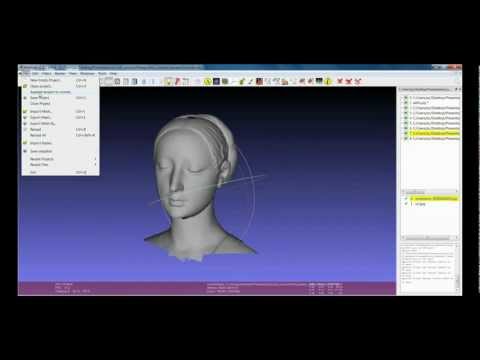 MeshLab Basics: the MeshLab Project