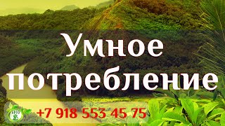 Умное потребление Арго. Анна Донская Умное потребление Арго. Анна Донская