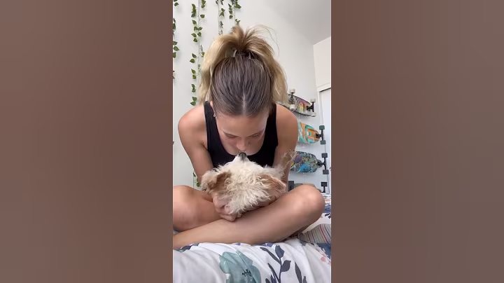 Without Clover there wouldn’t have been ZenlyPaws 🥺❤️ #petloss #petgrief #dog #doglovers #dogmom