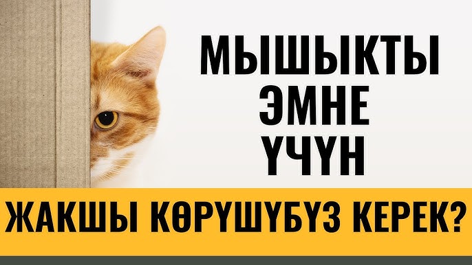 Шалқасынан жатып аузыңа сиу