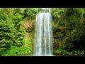 Música Relaxante e sons da Natureza Para uma Mente Leve e Calma   Meditar