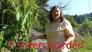 Growing: Three Sisters Garden