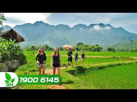 #1 Hội thảo "chia sẻ kinh nghiệm phát triển nông nghiệp du lịch Đài Loan - Việt Nam" | VTC16 Mới Nhất 63 #1 Hội thảo "chia sẻ kinh nghiệm phát triển nông nghiệp du lịch Đài Loan – Việt Nam" | VTC16 Mới Nhất