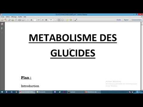 Vidéo: Compétences D'autorégulation: Ce Qu'elles Sont Et Pourquoi Elles Sont Importantes