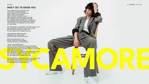 Drew Sycamore - Didn