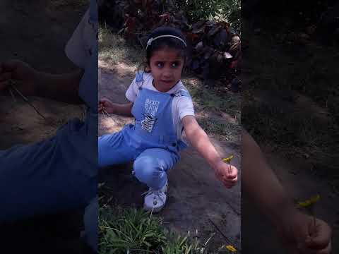 كنت بغني بقول يا حديد واخد اخواتنا بعيد سامر المدني 2019 عارفه الست اللي هي عند الزراعيه مش انت