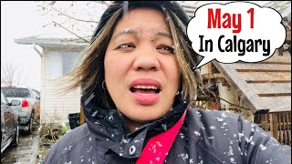 May 1,2024 in Calgary Alberta Canada | spring season 🇨🇦 |sarah buyucan