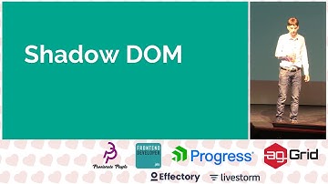 Tim van der Lippe - When to use web components