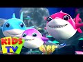 Боб поезд | Маленькая акула | Музыка для детей | Kids Tv Russia | Детские стишки | Дошкольные видео