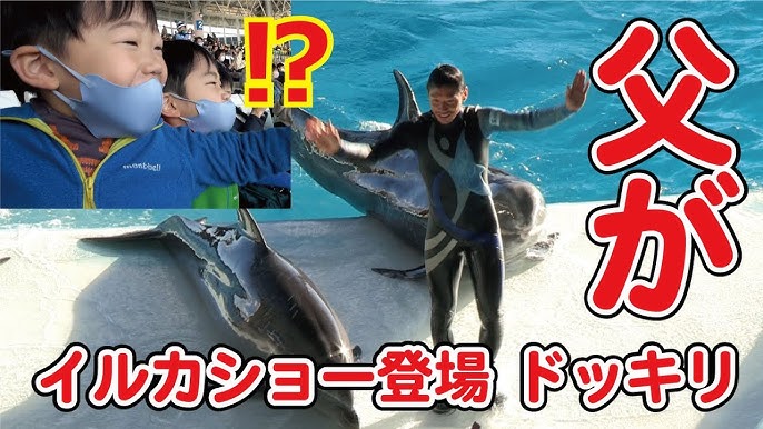 ドッキリ 父がイルカショー登場 子は感動と思いきや Youtube
