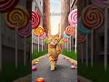 Remember to brush your teeth #9cutecat #shorts #cat #funny #catai #kitten #story