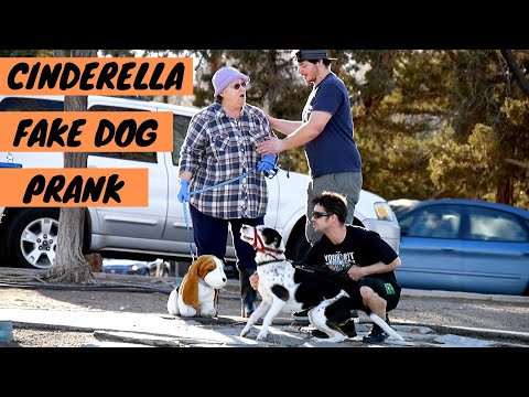 cinderella-fake-dog-prank!