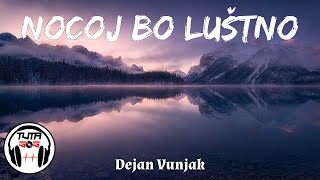 Dejan Vunjak - Nocoj bo luštno  (Besedilo/Karaoke/Tekst) (Lyrics by DJ Tuta SoS)