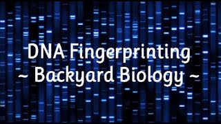 DNA Fingerprinting (Backyard Biology)