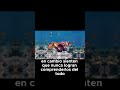 Descubre la esencia única y profunda de Piscis #piscis #astrologia #horoscopo #zodiaco #universo