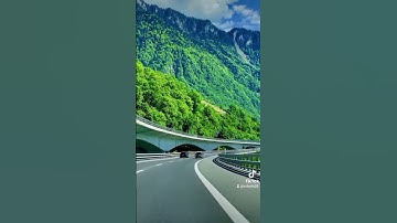 القران الكريم #القزابري #اكسبلور #لايك #المصحف #cat #العظماء #دويتو #حالات_واتس #duet