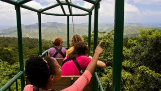 Embark on a Rainforest Sky Ride Adventure - St. Lucia