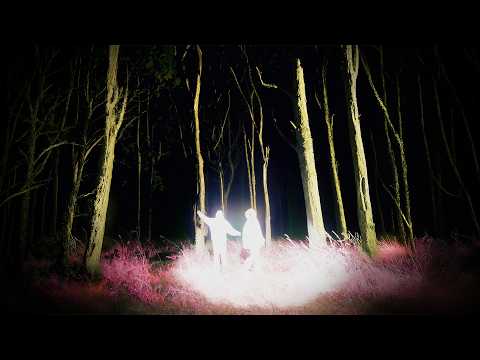 Alison Wonderland, WINK - RESCUE U