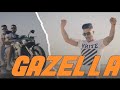 Falleg - Feat Issam Tiw Tiw - Daniel - GAZELLA