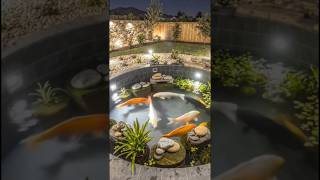 Epic Backyard Fish Pool Build 🐟💦 | Amazing DIY Mini Pond Transformation