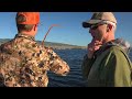 DON'T HORSE 'EM! | Walleye Fishing {Catch, Clean, Cook}