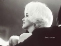 Marilyn Monroe Tribute - Halo