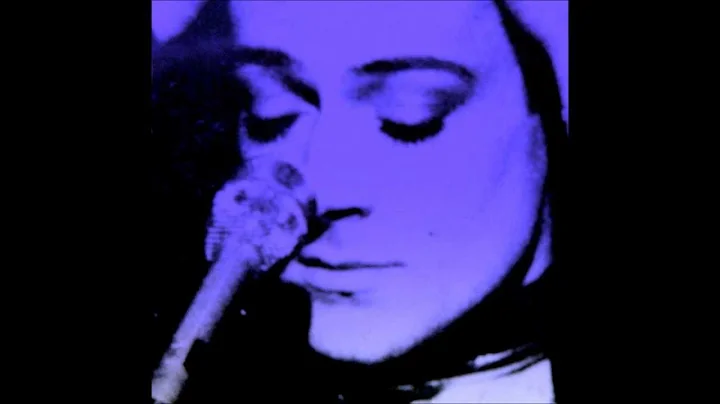 PETER SCHNEIDER  "DON"T BLAME IT ON THE NIGHT ":  ...