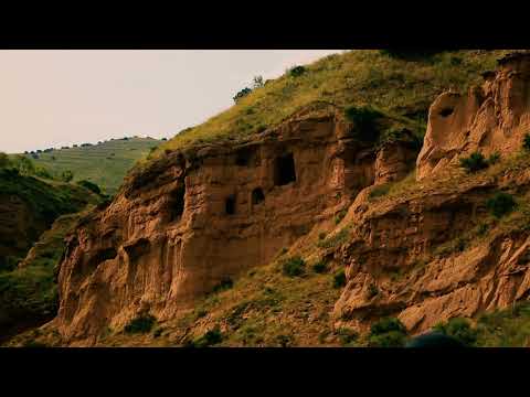 მამაflex cute boi flez