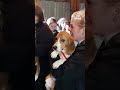 WATCH: 1,500 beagles rescued from research facility