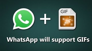 How to Send GIF Images in Whatsapp screenshot 5