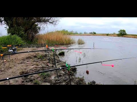 Видео: КОРМАКИ МОГУТ!!! Рыбалка на пружину в плохую погоду