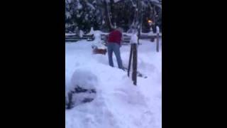 Loki. Playing in the snow by JustDuff 60 views 13 years ago 3 minutes, 20 seconds