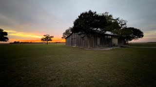 Famous The Barn Doesn’t Lie: how learning the truth of where Emmett Till was murdered can still heal Profile
