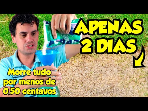 Vídeo: Como se livrar da trepadeira naturalmente?