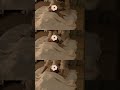 èšèãããæ·±ããæãããªã¿ããã³ã°ãšãèã®äžãæ»ãåªããã¹ãã㌠#shorts
