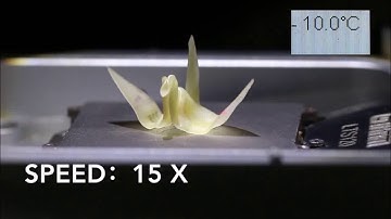Programming a crystalline shape memory polymer network with thermo- and photo-reversible bonds