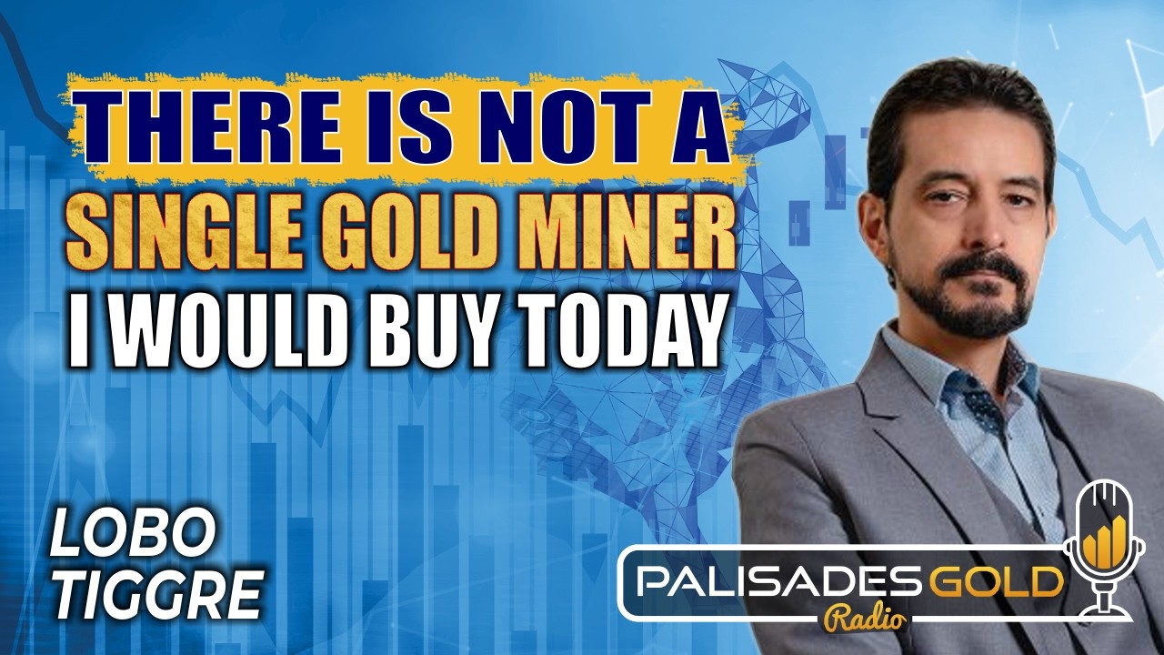 Lobo Tiggre: Why There's Not A Single Gold Mining Stock I Would Buy Today