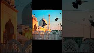 Ae mujhtabe zumbar fisha 🥺❤🩹 | 4K | Black Screen | Status | Lyrics #Blackscreen #shorts #sad