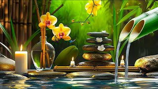 Relaxing Piano Music & Bamboo Water 24/7🌿Healing Nature Sounds, Deep Sleep, Relaxation, Bird Sounds by Soul Silence 350 views 3 weeks ago 3 hours, 14 minutes