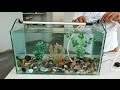 How to Make an Aquarium at Home - Do it Yourself (DIY)